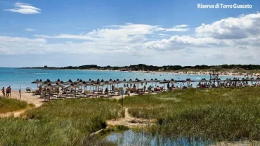 Torre Guaceto Beach