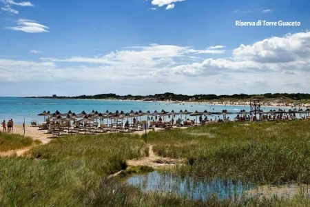 Torre Guaceto Beach